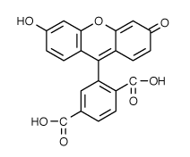 FAM|6-羧基熒光素